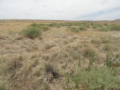 Canyon Dr, Laguna, NM, 87026