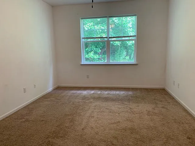 32041 Woods Ct — Photo 12