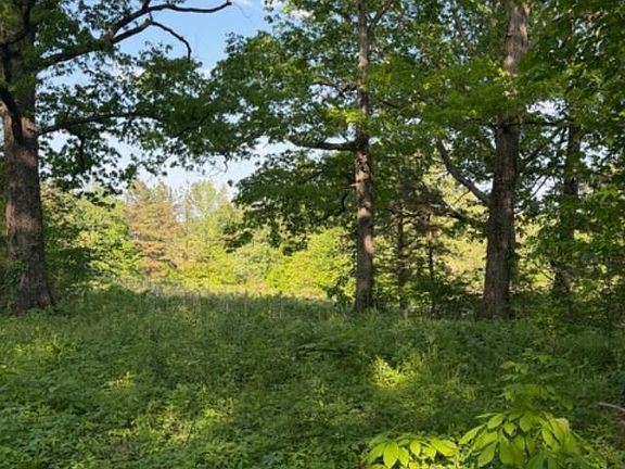 2nd image of 0 McBride Cemetery Rd