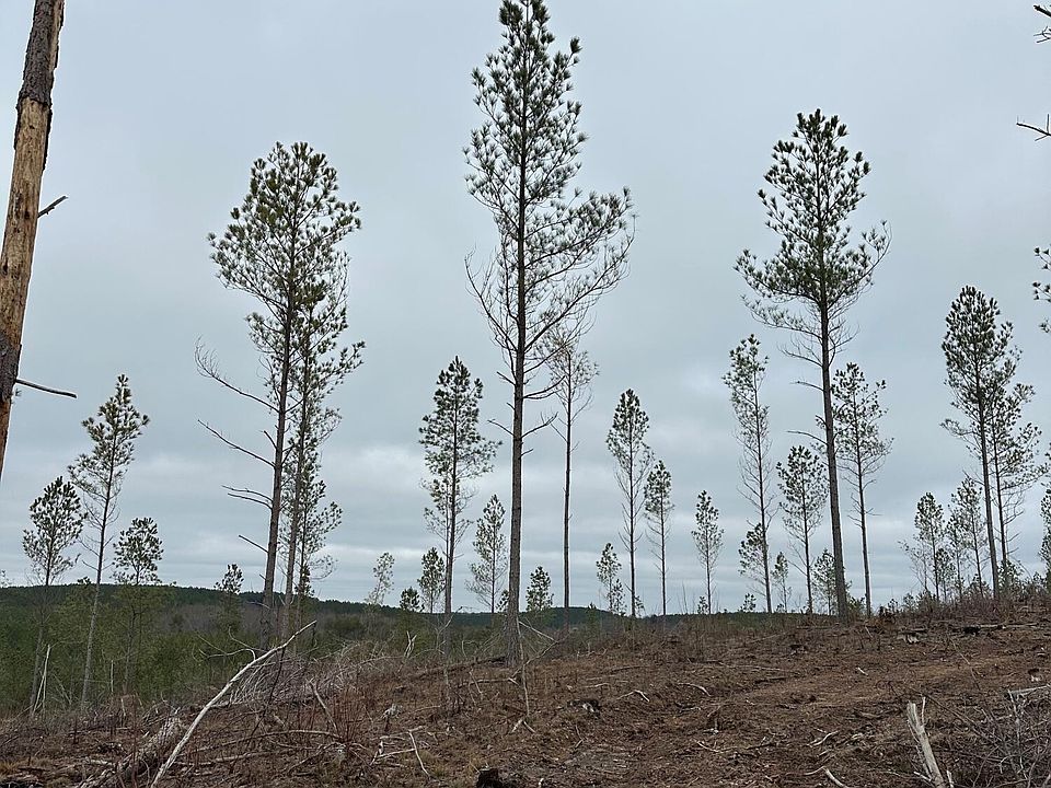 2nd image of 25 Thomas Springs Rd