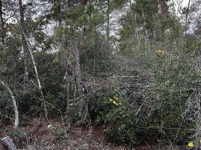 Apple St #20, Eustis, FL, 32736