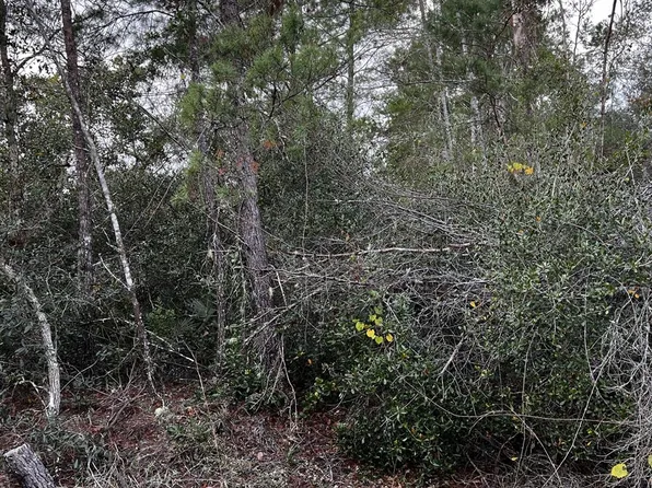 Apple St #20, Eustis, FL 32736