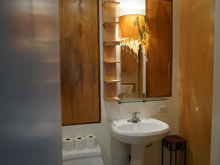 Bonus Room Bathroom