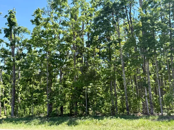 PARCEL 6 Van Tyle Rd, Elmira, MI 49730