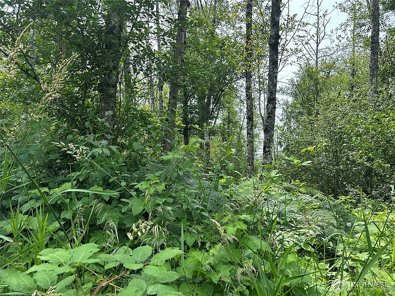 3rd image of 3474 Old Highway 99 Road N