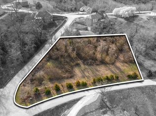 LOT 61 Jacks Hollow Rd, Walnut Shade, MO 65771