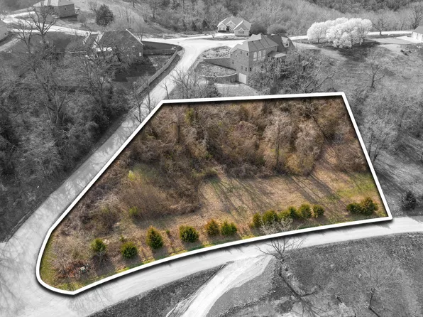Lot 61 Jacks Hollow Road, Walnut Shade, MO 65771