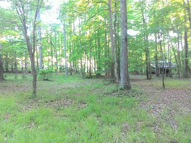 2nd image of 470 Weslee Woods Way