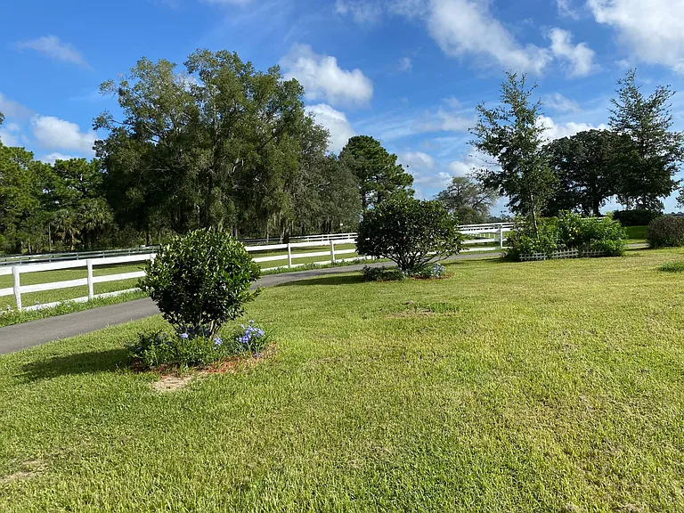 Front lawn with Ligustrum's facing front paddock.