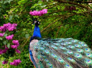 1880 SW 32nd Ct, Miami, FL 33145