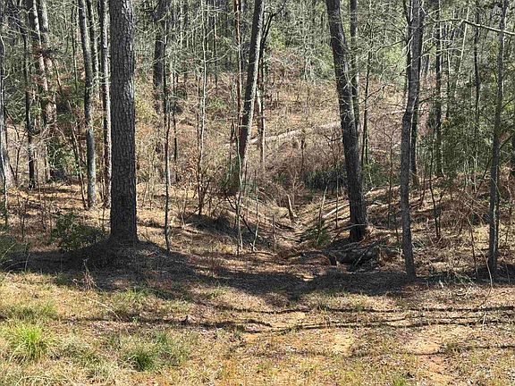 3rd image of 277 Brentwood Dr