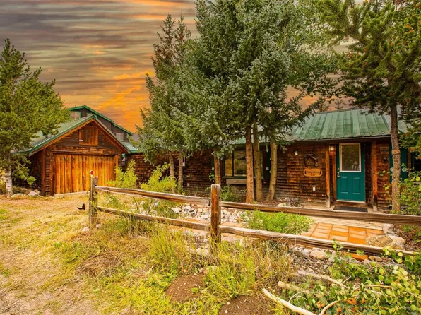 46 Singleton Rd, Alma, CO 80420