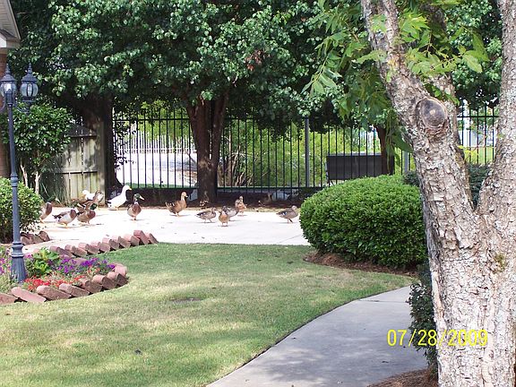 View of lake from front yard
