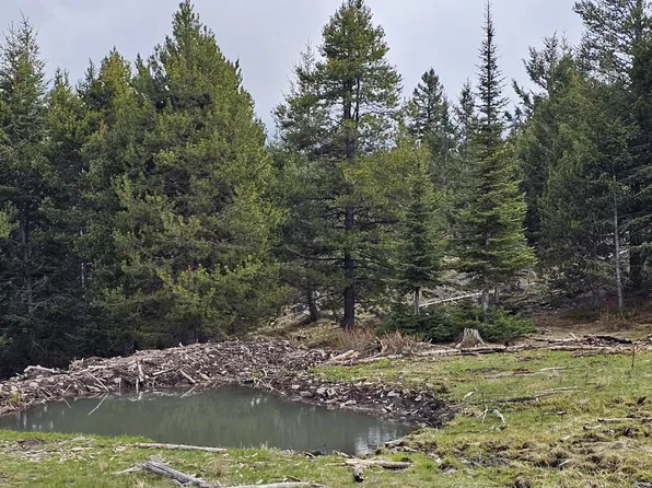 TRACT Eight #9-10, Drummond, MT 59832