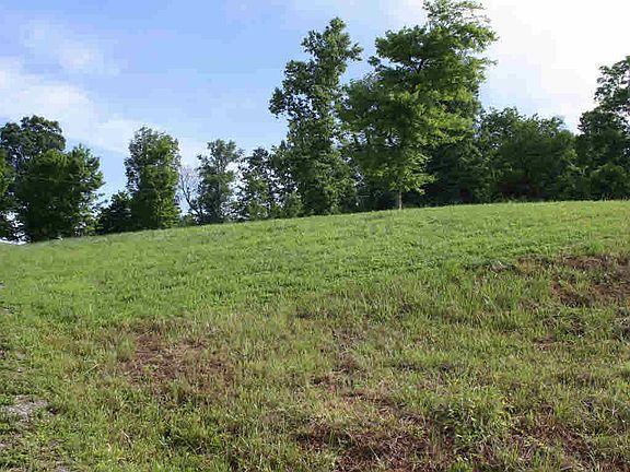 5th image of McCoy Road