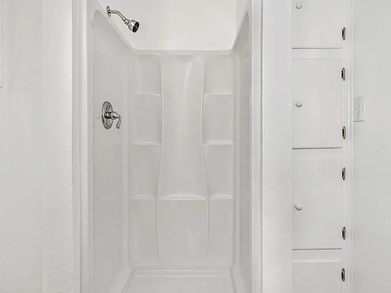Master bath shower and storage