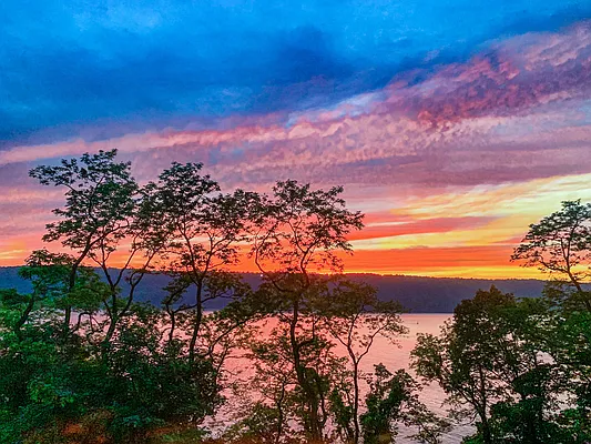 Sold by Re/Max In The City | media 6