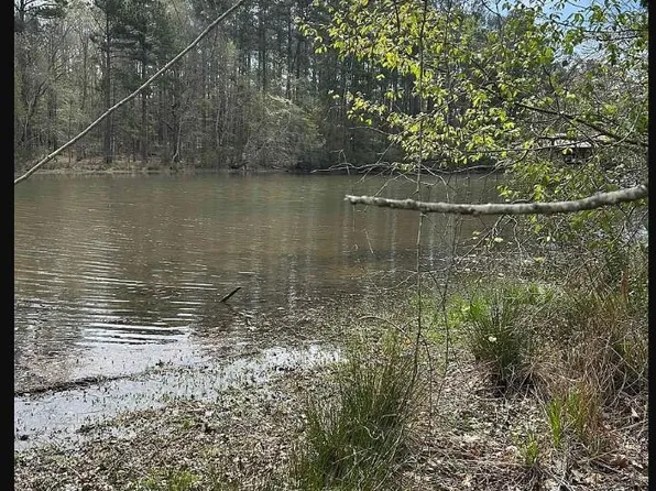 (undisclosed Address), Chappells, SC 29037