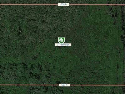 22290 NE 125th Ave, Fort Mc Coy, FL, 32134