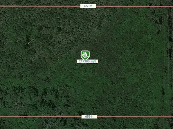 22290 NE 125th Ave, Fort Mc Coy, FL 32134