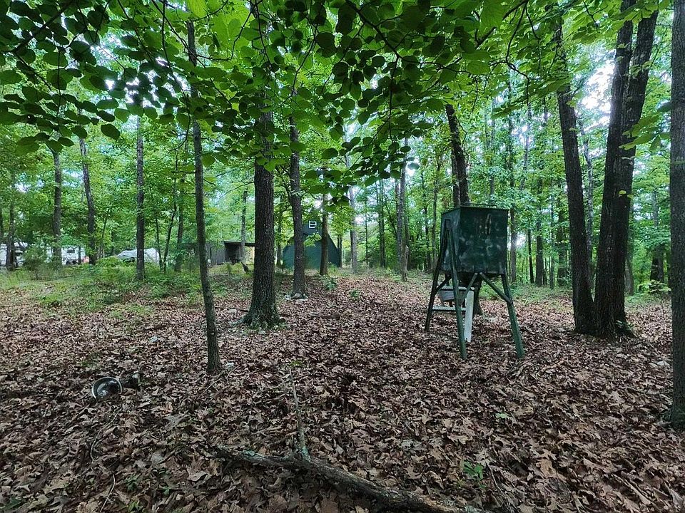 22nd image of 17 Mary Dr