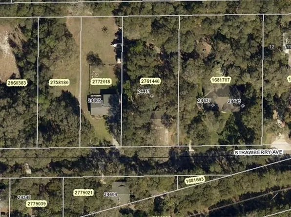 Strawberry Ave, Sorrento, FL 32776