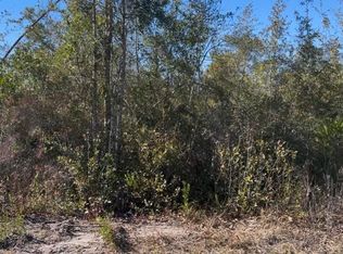 0 N Patrick St, Pt Saint Joe, FL 32456