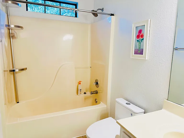 706 Dove Valley Ct — Photo 17