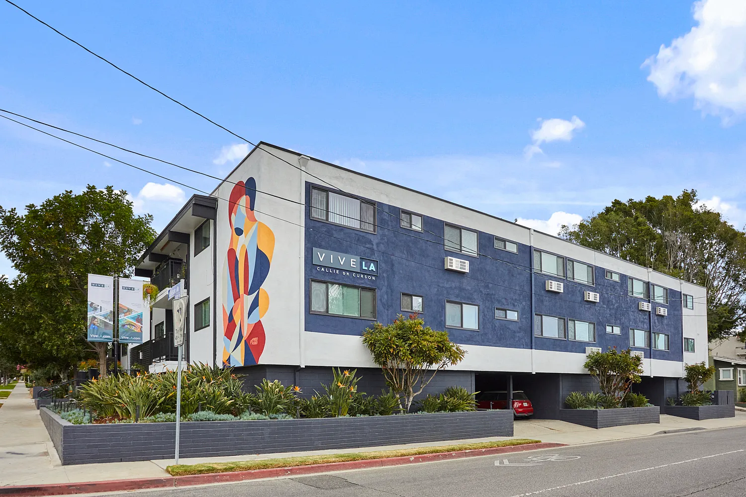 Callie on Curson — Photo 1
