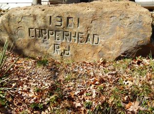 1301 Copperhead Rd, Winslow, AR 72959