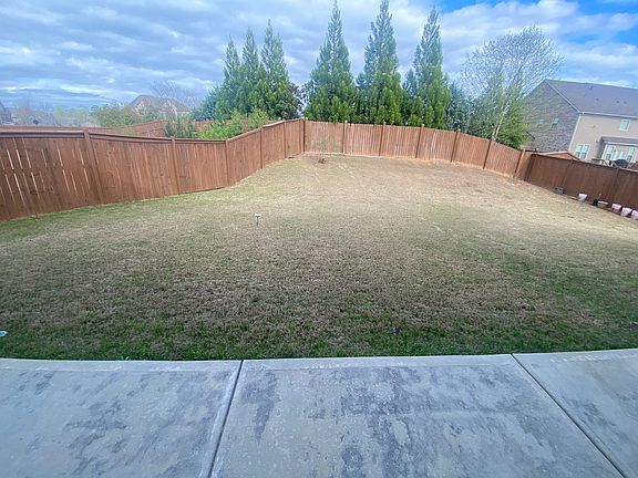 Back yard