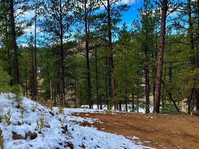 15126 N Pine Lake Place, Sedalia, CO, 80135