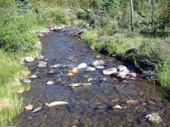 46 Mountain Moose Rd, Philipsburg, MT 59858