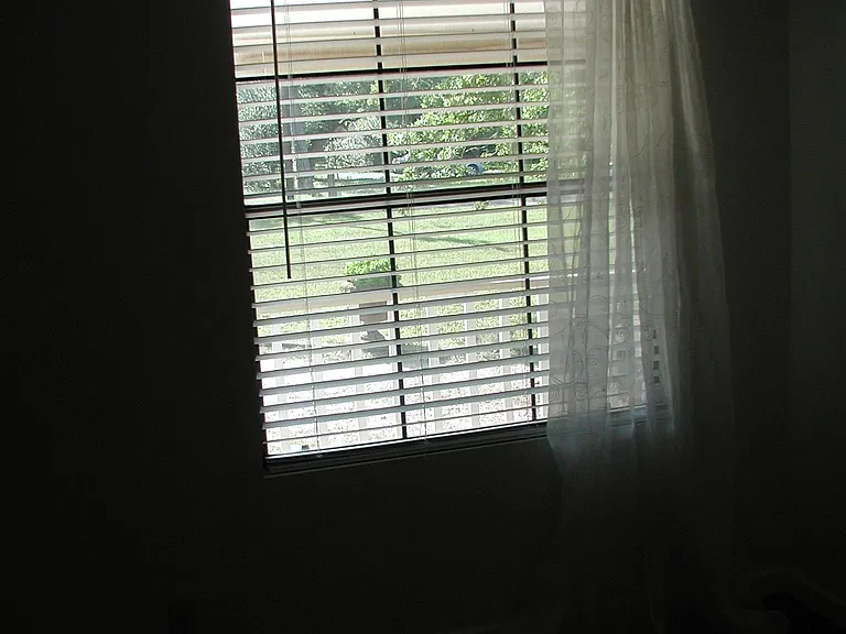 126 River Oaks Dr — Photo 33