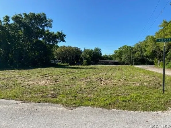 8419 E Melissa Ct, Floral City, FL 34436