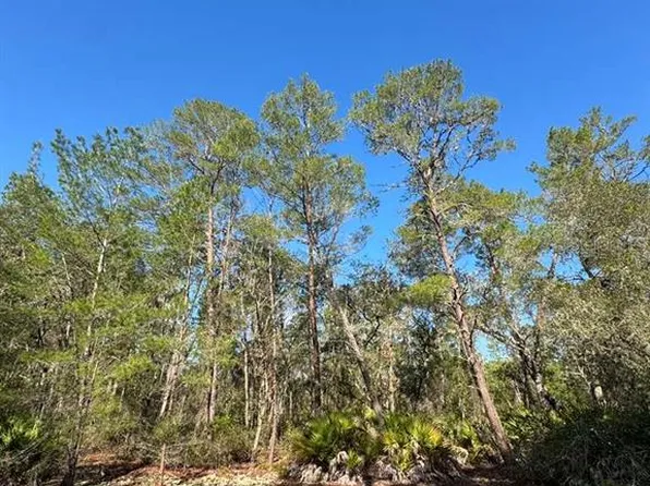 (undisclosed Address), Ocklawaha, FL 32179