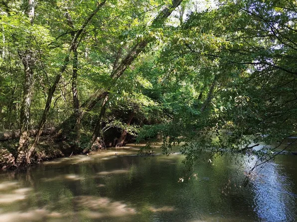 0 Manning Gin Rd, Monroe, GA 30656