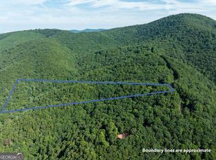 LOT 9 Brushy Top Rd, Chatsworth, GA 30705