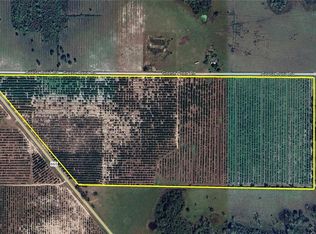 0 Goose Pond Rd, Ona, FL 33865