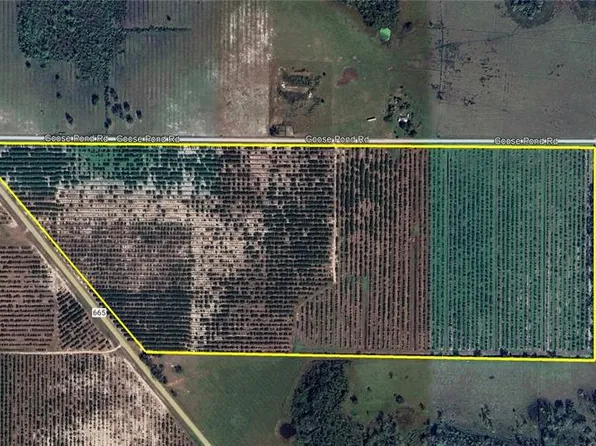 0 Goose Pond Rd, Ona, FL 33865