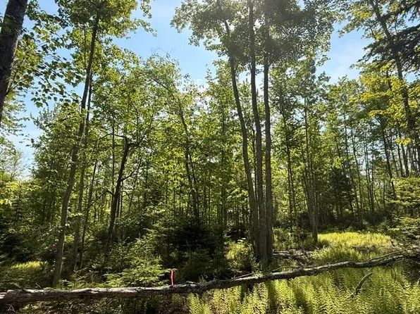 Lot #16 Sunset Cove Way, Orland, ME 04472