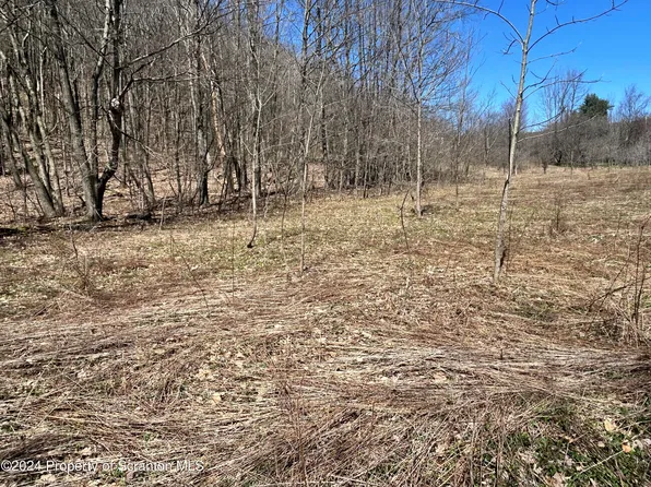 Moosic Lake Rd, Jefferson Township, PA 18436
