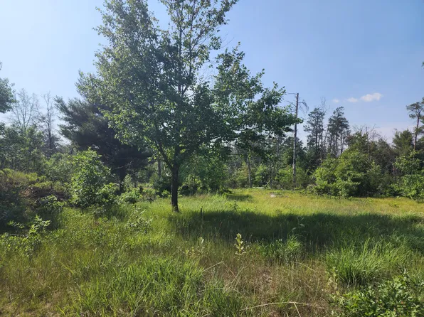 0 Stitt Ln, Mio, MI 48647