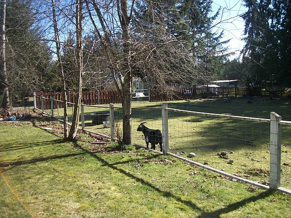 4th image of 16415 259th Ave E