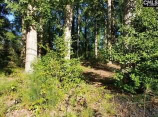 308 Reed Ave, Lexington, SC 29072