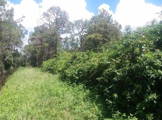 Jones Rd, Saint cloud, FL 34771