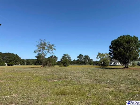 LOT 2 Isaiah Dr, Dillon, SC 29536