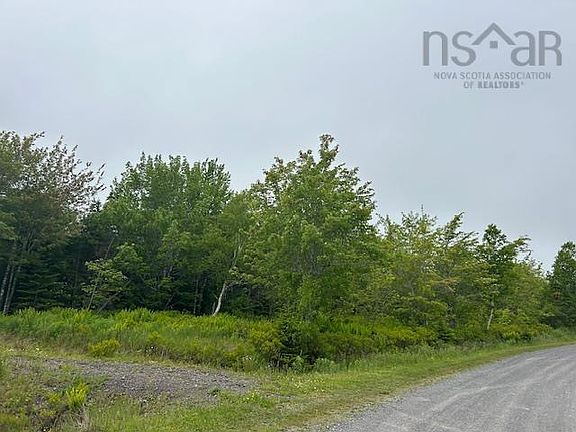 4th image of LOT 7 Bay St