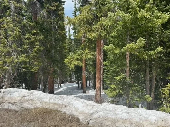 584 Camron Ln, Breckenridge, CO 80424