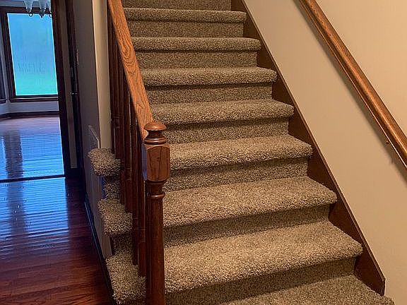 Stairs with new carpet